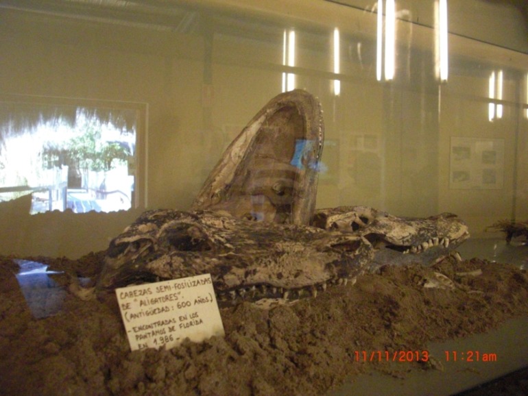 Торремолинос, Испания, крокодиловая ферма.