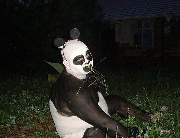 панда