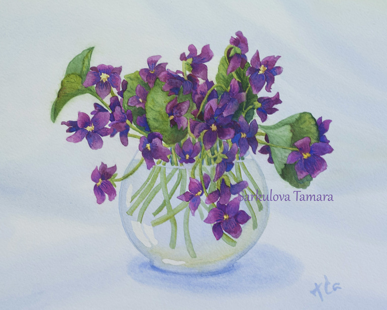 Снова фиалки