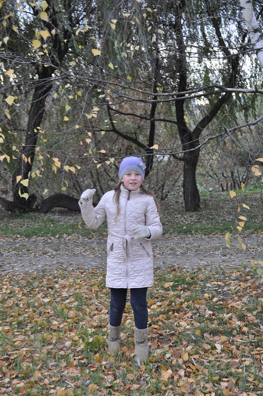 Осенняя прогулка