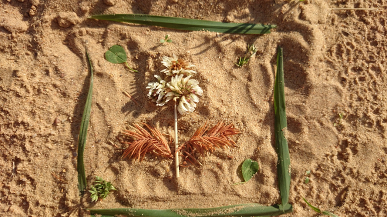 Мои самые любимые посты - про ЛЕТО!