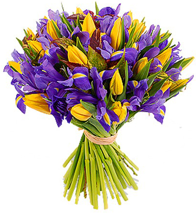 Хвастики закупки