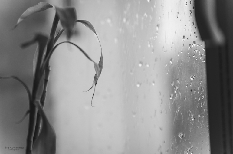 Если на улице идет дождь...