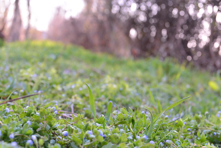 Беззеркалка Nikon 1 S1