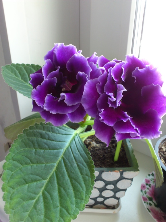 Хочу сказать спасибо!!!