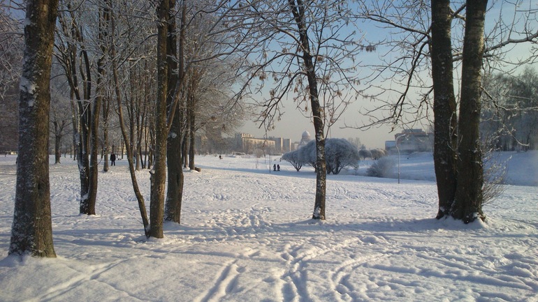 Зимние прогулки