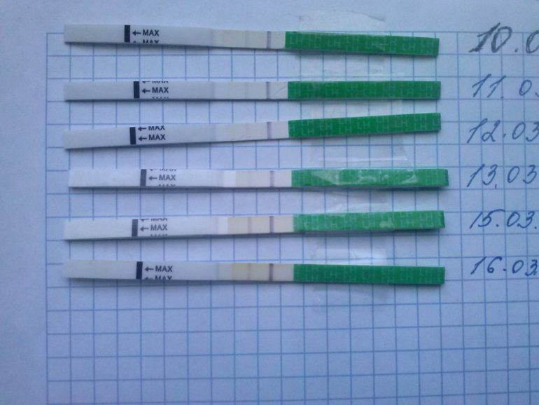 Не могу понять(((((