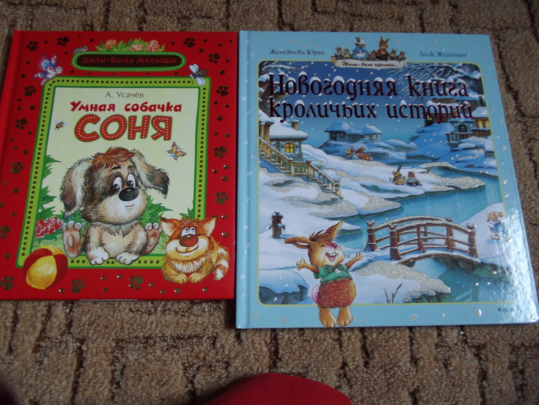 Наша маленькая библиотека!