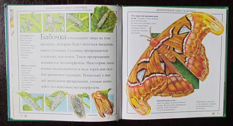 Маленький мир