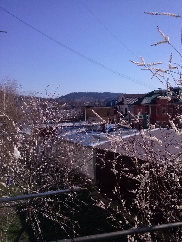 За моим окном....веснааа)