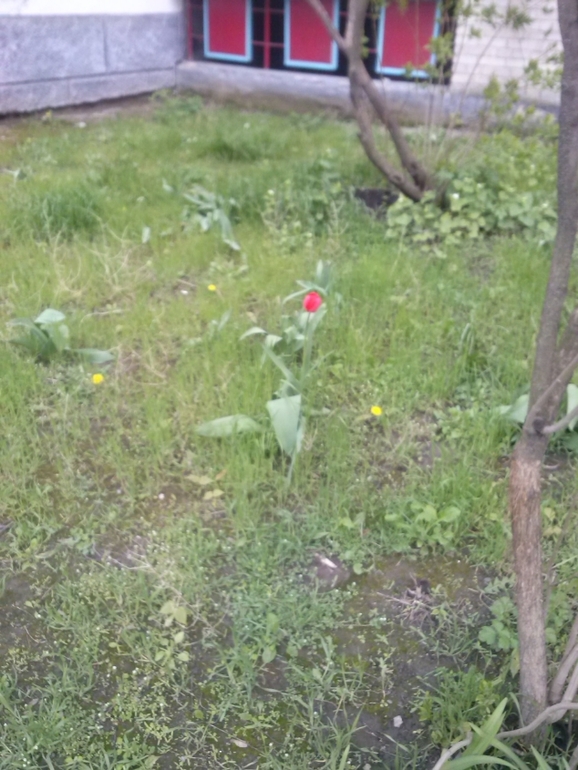 А за вікном...майже весна)))))))))