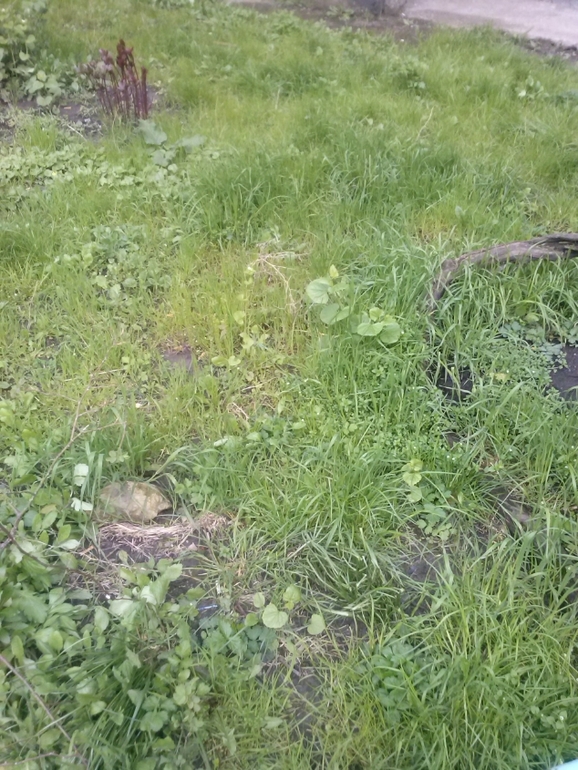 А за вікном...майже весна)))))))))