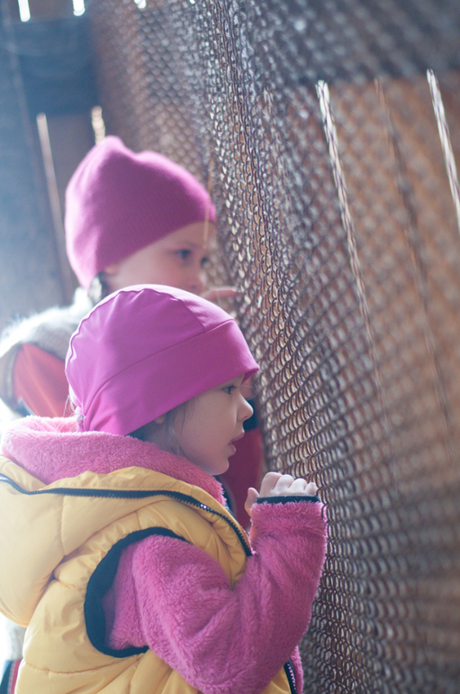 в деревне (фото)