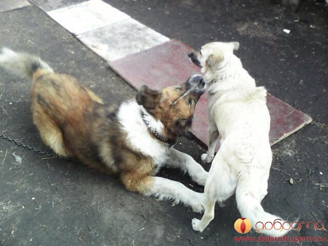 Барни... Дома!!!)))