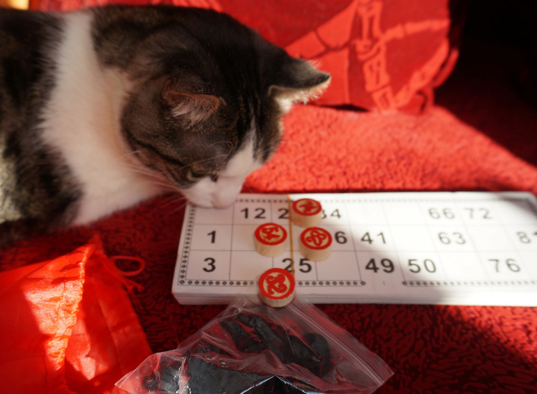 Наша игротека