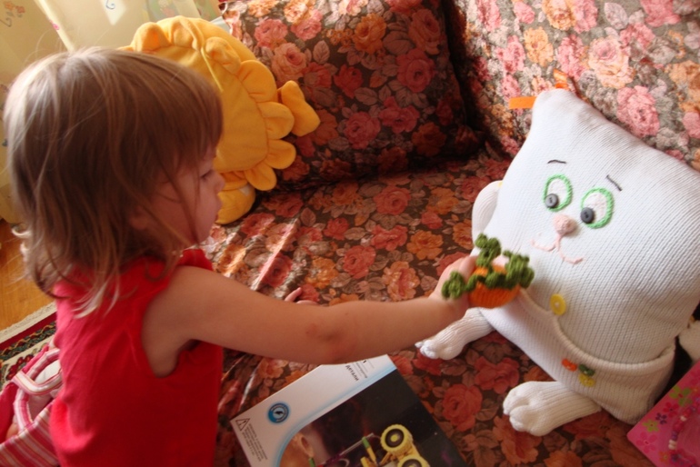 Наша подушка-путешественица