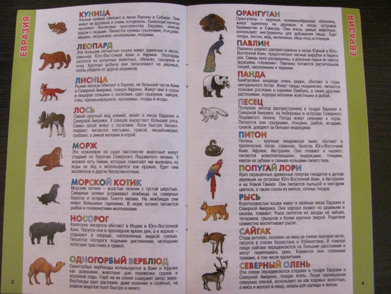 Глобус для первого знакомства с миром