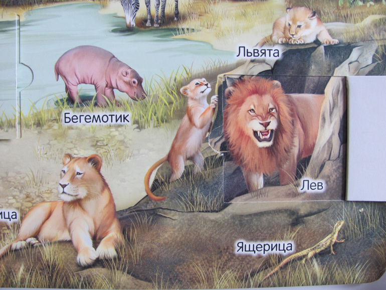 Животные -любимая книжка с окошками, НЕ АРКЕБУС))