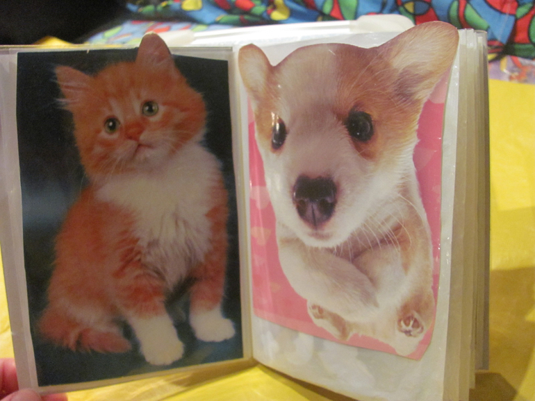 Использование фотоальбомов для развития