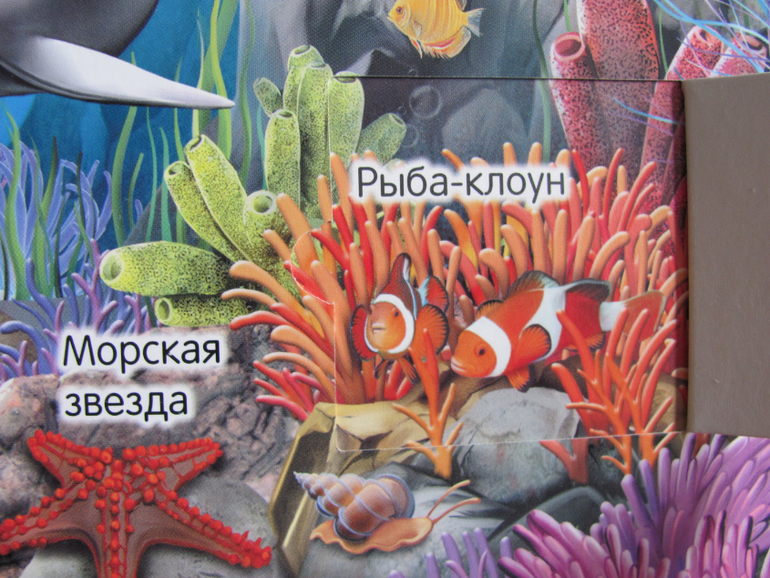 Животные -любимая книжка с окошками, НЕ АРКЕБУС))