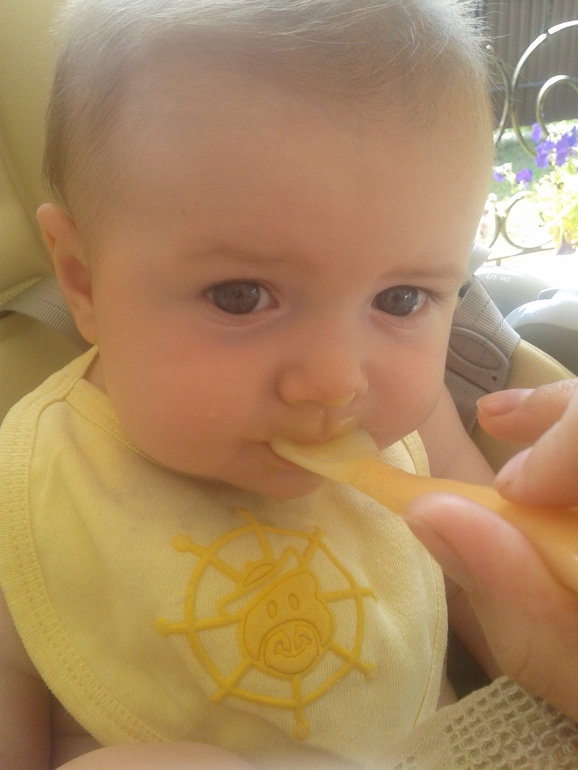 День восьмой или как мы кушали кабачок