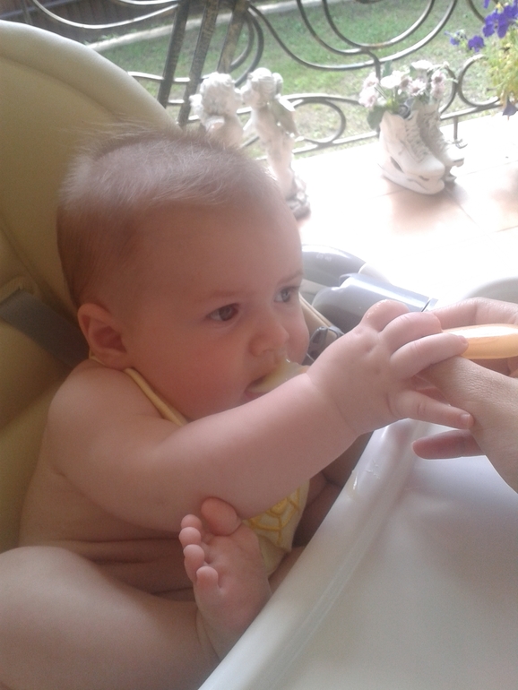 День восьмой или как мы кушали кабачок