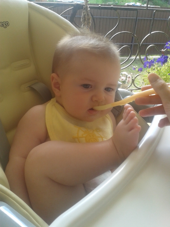 День восьмой или как мы кушали кабачок