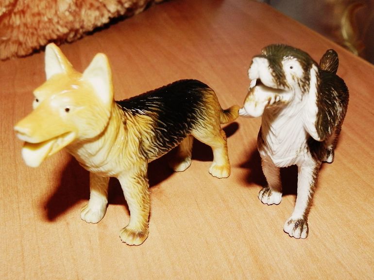 Наша коллекция)