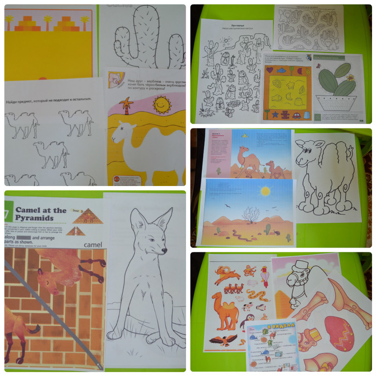 ТН Пустыня и немного Африки..