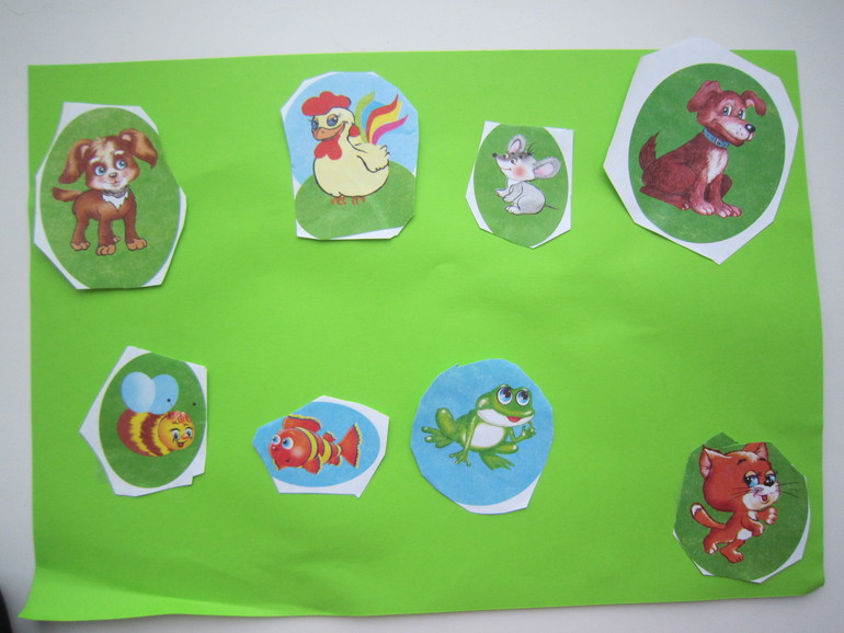 ТН Коты и кошечки