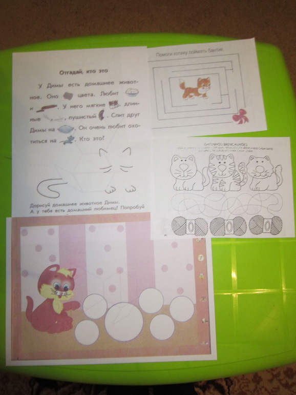 ТН Коты и кошечки