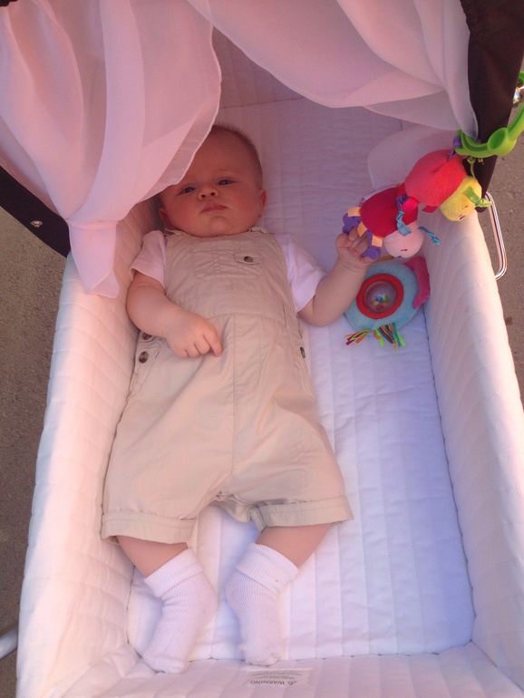 Караул! Угроза ветрянки!