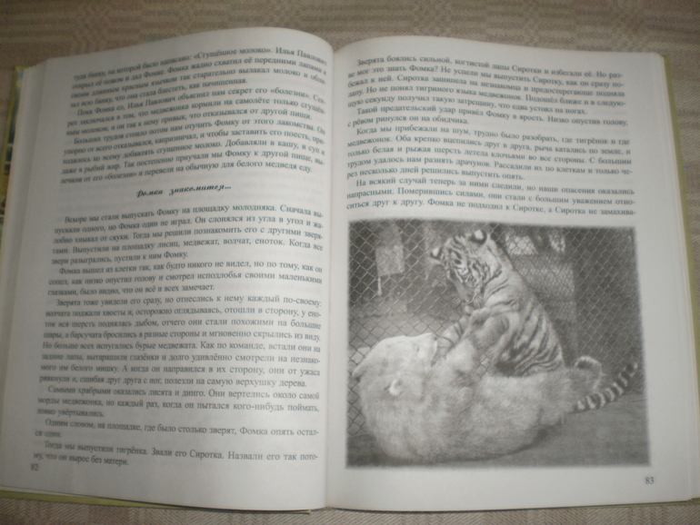 Наша Чаплина