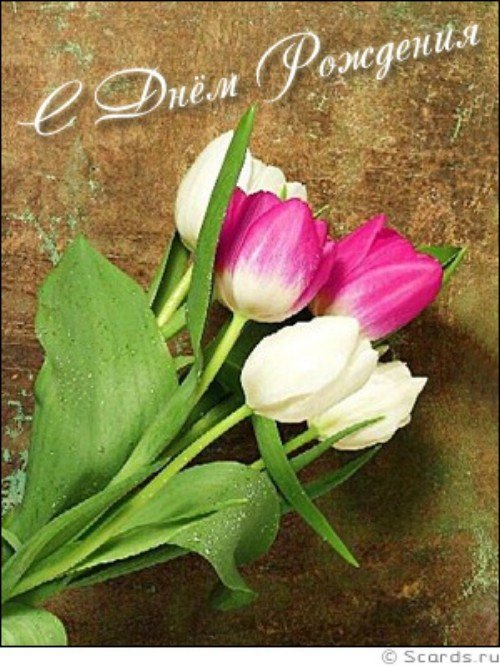 7a88be8e4aaff01886d1e504f06e598d.jpg