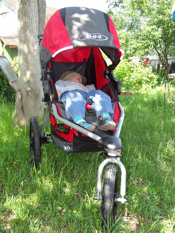 Мой долгожданный Бобик