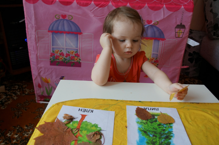 ТН Деревья первый день