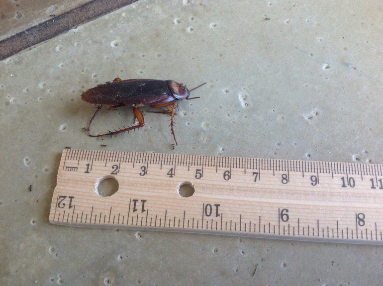 Взлет 72 Шаг 21