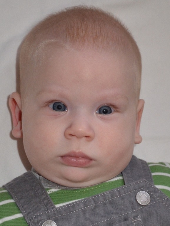 Полугодовасие