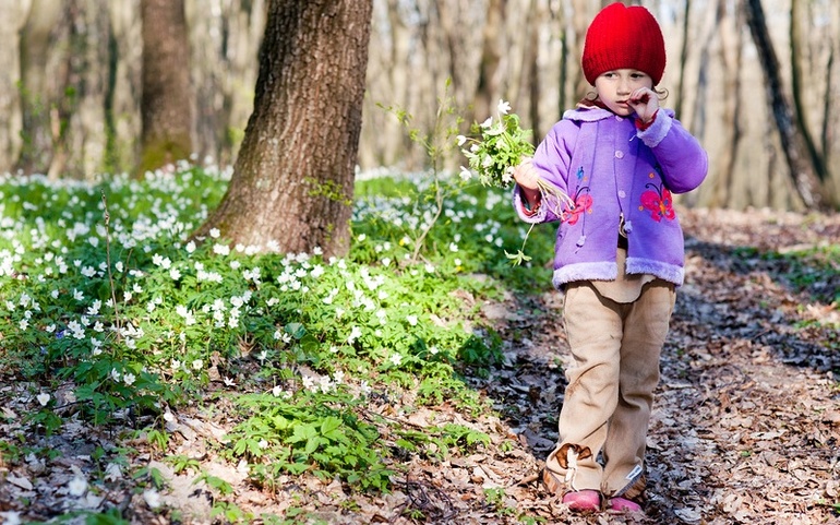 Шесть весенне-развивающих занятий с ребенком