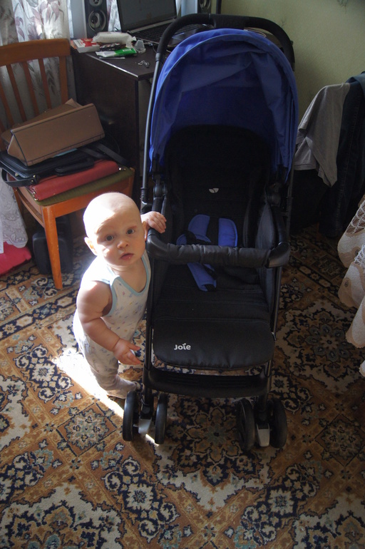 Joie Mirus -новая неизвестная и не обкатанная коляска и фирма;)