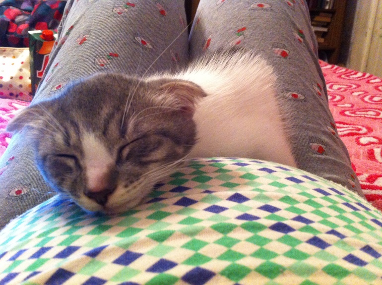 Террорист-смертник. Ахтунг!