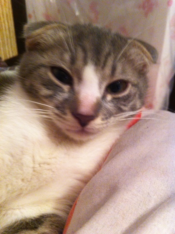 Террорист-смертник. Ахтунг!