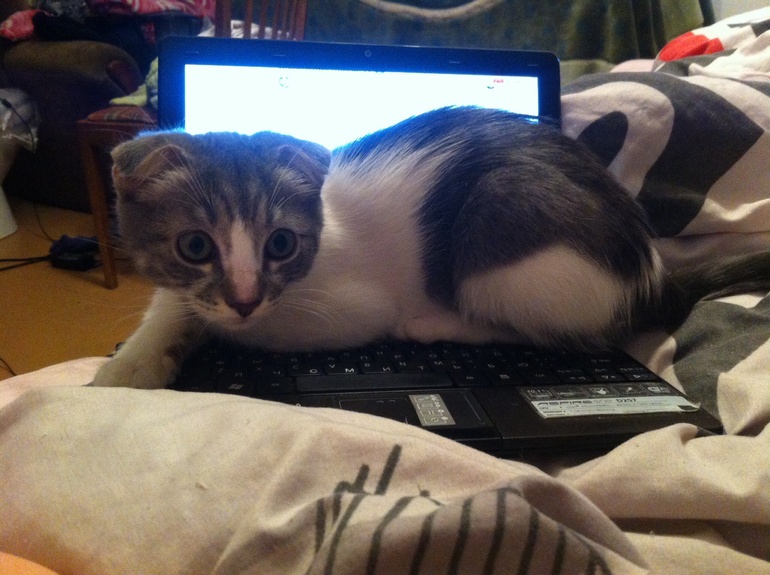 Террорист-смертник. Ахтунг!