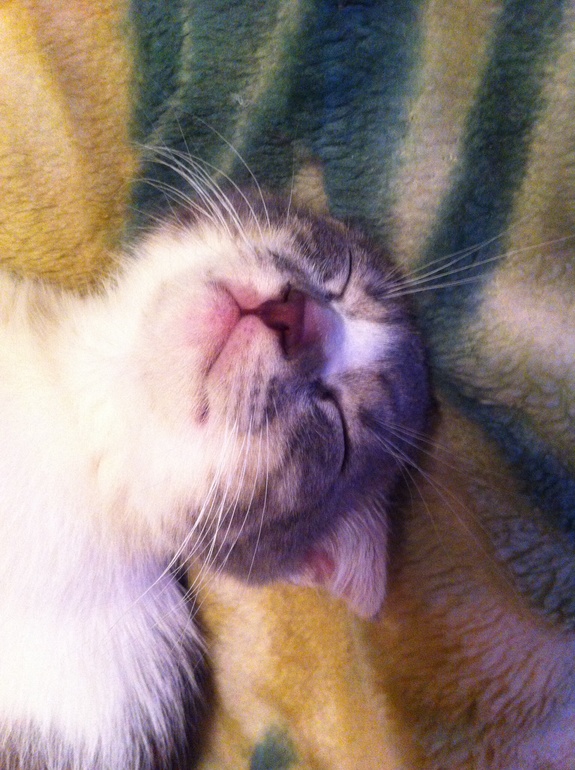 Террорист-смертник. Ахтунг!