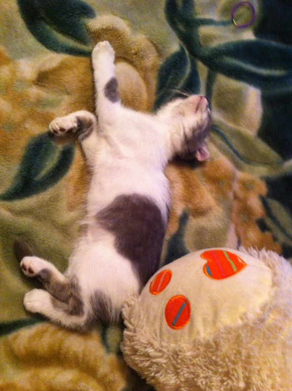 Террорист-смертник. Ахтунг!