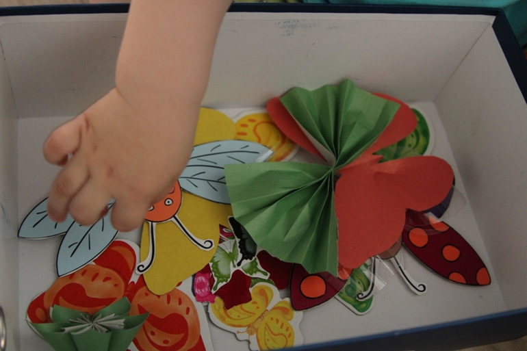 Отчет по ТН "Насекомые" . День 1 - Бабочка