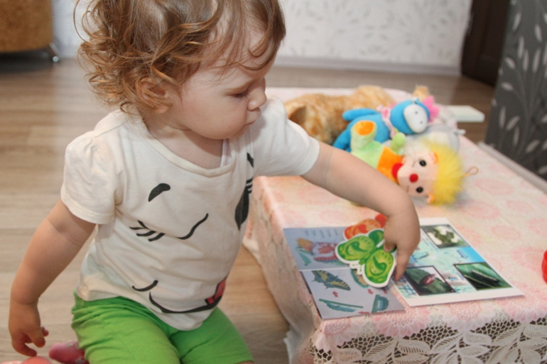 Отчет по ТН "Насекомые" . День 1 - Бабочка