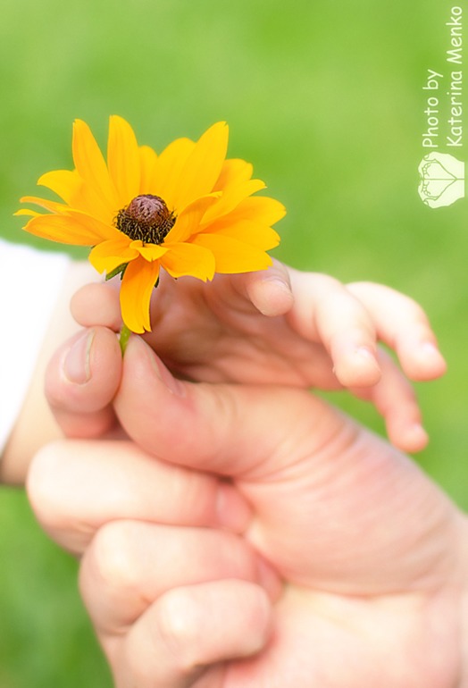 Летняя прогулка