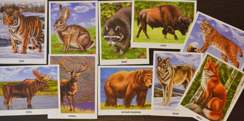 Обзор карточек