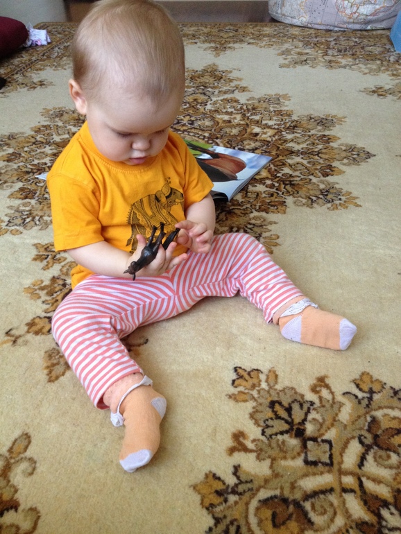 d013edc53826a9507c1c309bda587974.jpg